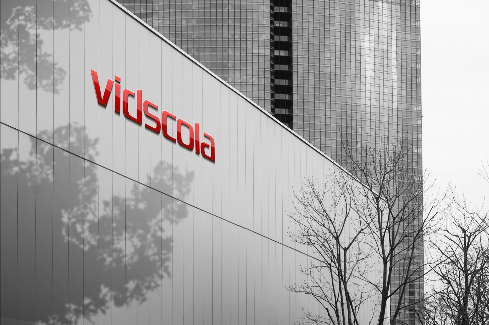 Vidscola: First Middle Eastern Partner to Achieve Agile at Scale Specialization from Atlassian